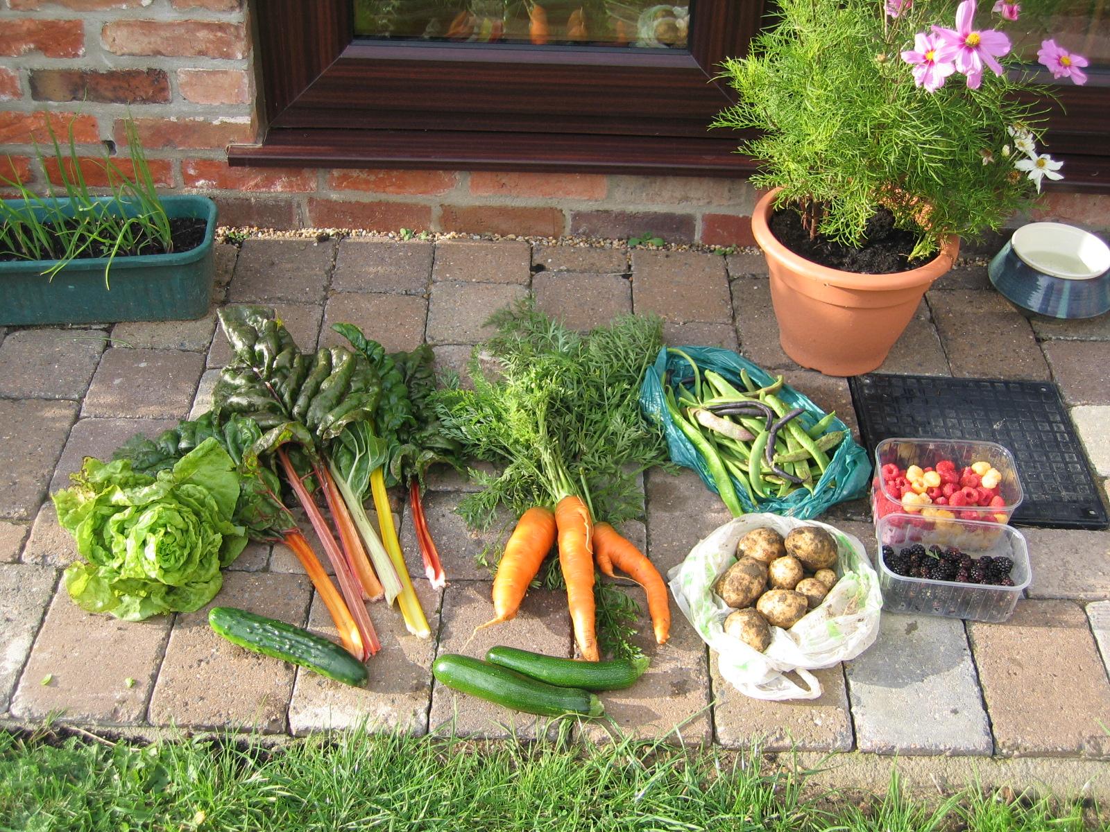 Photograph of allotment produce